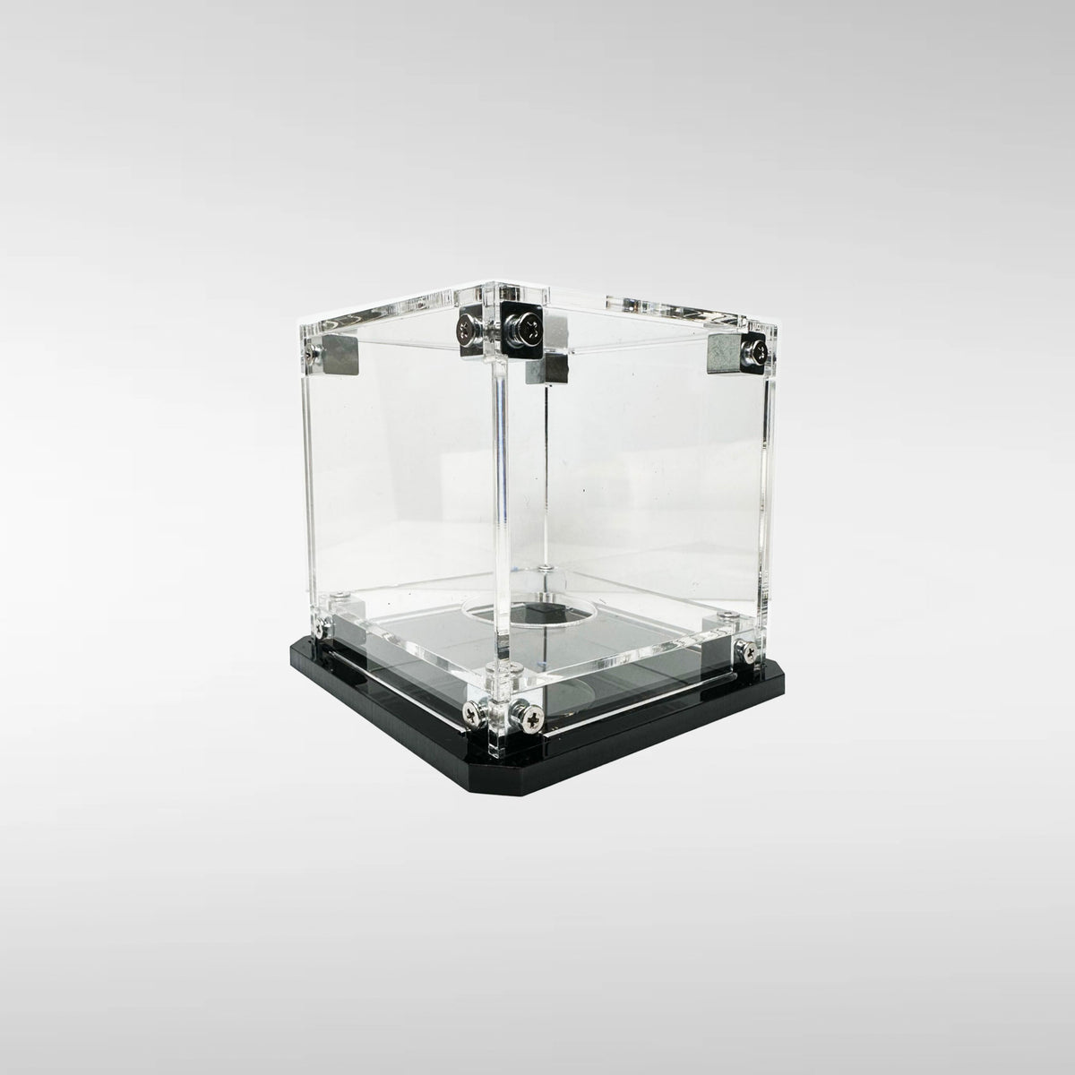 Baseball Display Case